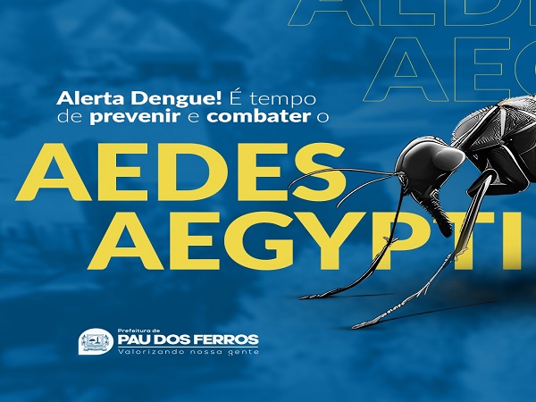 Prevenção é a melhor forma de combater o AEDES AEGYPTI 