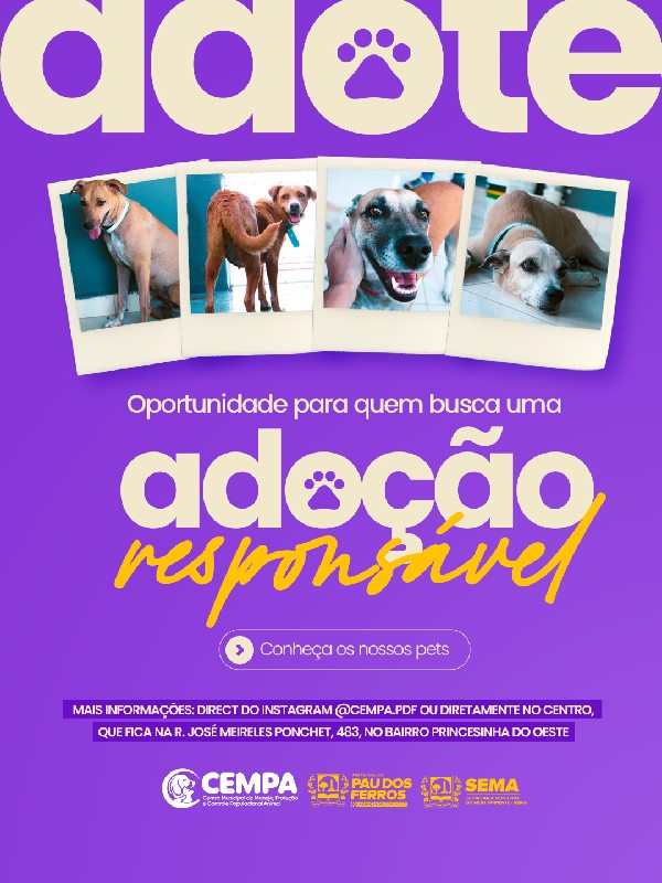 Prefeitura amplia castração de animais em situação de rua e incentiva adoção responsável em Pau dos [...]